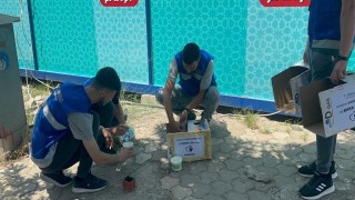 Sokaktaki can dostlarını depremin ilk günlerinden bu yana unutmadılar