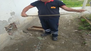 Su saatine giren yılan paniğe neden oldu