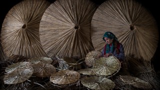 Sultan Sazlığının Doğal ve Ekonomik Zenginliği Kamışlar