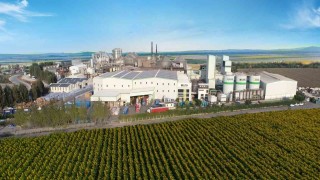 Sunarın şirketleri yükselmeye devam ediyor