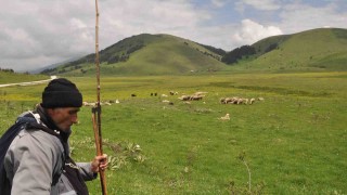 Sürünün peşinde 40 yıl geçirdi: Her gün kilometrelerce yol kat ediyor