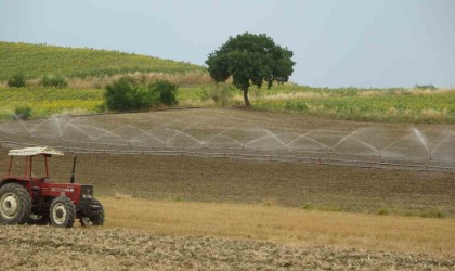 Suya kavuşan topraklarda üreticinin yüzü güldü