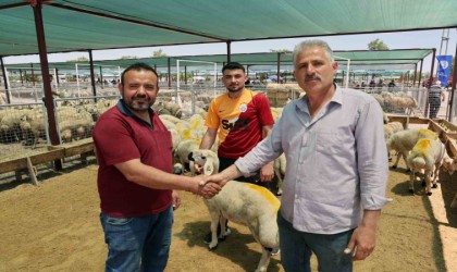 “Talas Kurban Pazarında büyük bir hizmet yapılmış”