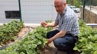 Talasta deneme bahçeleriyle yeni ürünlere teşvik