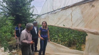 Tarım alanlarında hasar tespit çalışmaları gerçekleştirildi