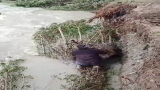 Tarım arazilerini selden korumak için barajı tıkayan ağaçları temizlediler