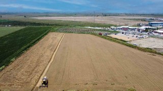 Tarsusta cezaevi arazilerine ekilen buğdayın hasadı yapıldı