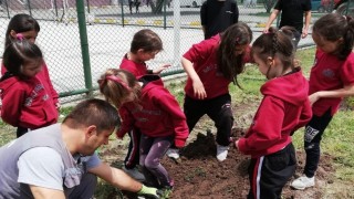 Tavşanlıda öğrenciler sağlıklı gelecek adına fidan dikti