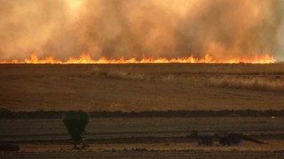 Tekin: “Anız yakmak hem çevre hem de toprak için zararlı”