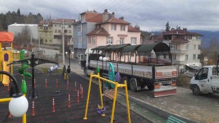 Tosya Belediyesi kamelya üretiminde rekor kırdı