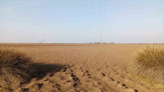 Türkiyenin yüzde 22,5i yüksek çölleşme riski altında