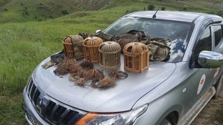 Tuzak olarak canlı keklikleri kullandılar, binlerce lira cezadan kaçamadılar