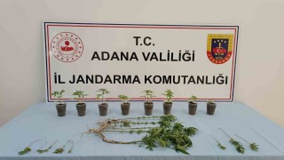 Uyuşturucu operasyonunda 7 şüpheli yakalandı