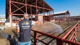 Van Büyükşehir Belediyesi canlı hayvan pazarını ilaçladı