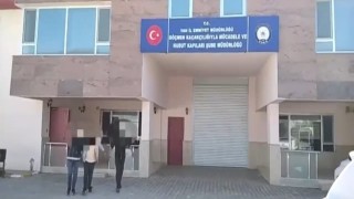 Vanda göçmen kaçakçılığı operasyonu