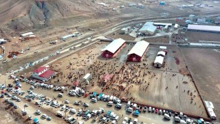 Vanda kurban satış ve kesim yerleri belirlendi