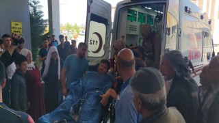 Vanda mera otlatma kavgası: 4 yaralı