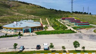 Vandaki barınak sokak hayvanlarına şifa dağıtıyor