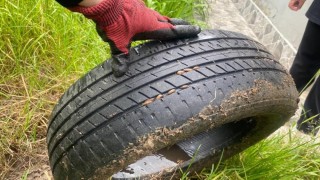 Vatandaşı bezdiren böceklerden kurtulmanın yolları