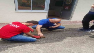 Vatandaşların bulduğu tilki yavrusu koruma altına alındı