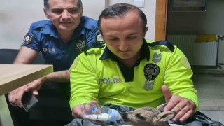 Yaralı yavru karacaya polis ekipleri sahip çıktı