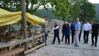 Yetkilerden kurban uyarısı: Cadde, sokak ve parkta kurban kesmek yasak