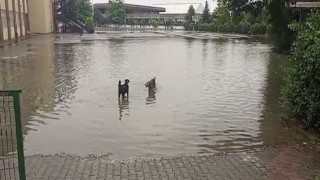 Yolu su bastı, esnaf ise sandalyesini alıp keyif yaptı