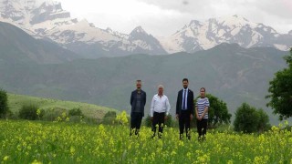 Yüksekovada 2 mevsim bir arada