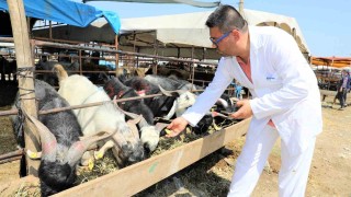 Yüreğirde kurban satış ve kesim yerleri belirlendi