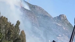 Zeytinlik alanda çıkan yangın korkuttu