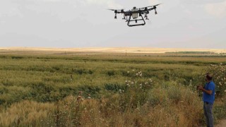 ZİHA dron teknolojisi tarlaya girdi