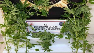 Zonguldakta uyuşturucu operasyonu