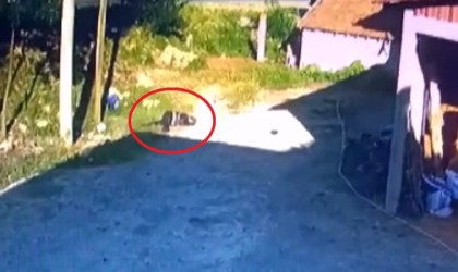 1 kişinin hayatını kaybettiği, 1 kişinin de yaralandığı kaza anı kamerada