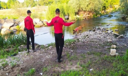 17 gündür kayıp olan Korhan Berzeg, görüldüğü iddia edilen Gönen Çayı ve çevresinde aranıyor