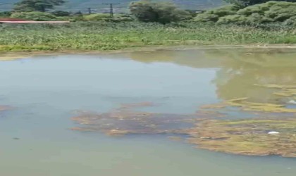 5 köyün su kaynağı depremden sonra kurudu