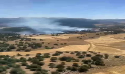 Adana’da anız yangını ormana sıçradı