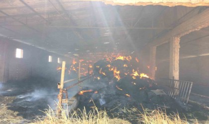 Adıyamanda 50 kamyon saman balyası yandı