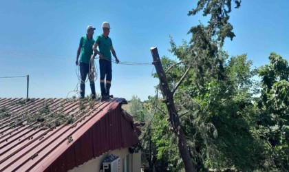 Ağaç lojmanın üzerine devrildi, ekipler kaldırdı