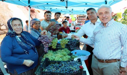 Akdeniz Belediyesi, Esenli Üzüm Şenliğine hazır