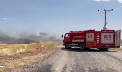 Anız yangını korkuttu