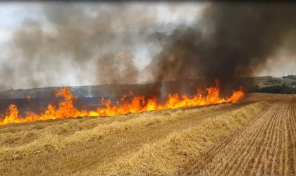 Aşırı sıcaklar hububat tarlalarında yangın riskini artırıyor