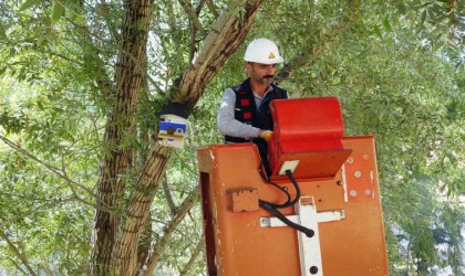 Atıl durumdaki elektrik panoları kuş yuvalarına dönüştürüldü
