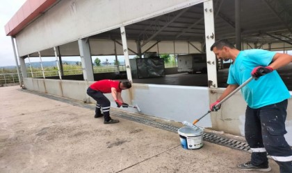 Ayazma Kapalı Pazarına bakım çalışması