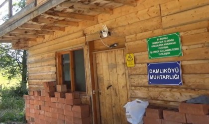 Ayı saldırılarından bıkan muhtar çareyi harekete duyarlı kamera sistemi kurmakta buldu