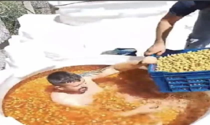 Bakanlıktan, zeytin tankında sepetleme görüntüsüne inceleme/ Ek fotoğraflar