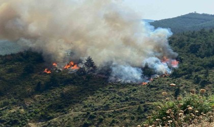 Balıkesirde orman yangını