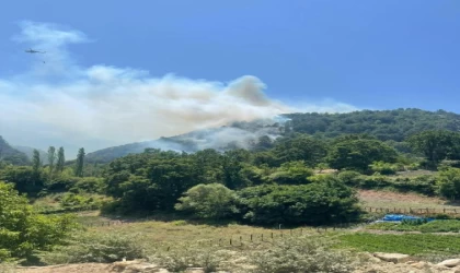 Balıkesir’de orman yangını