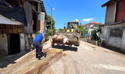 Başiskelede kurban atıkları anında toplandı