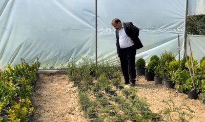 Belediye Başkanı Doğan: Ata tohumlarına sahip çıkıyoruz”