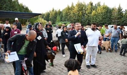 Belediye Başkanı Doğan: Dağıttığımız oğlak sayısı bin 300e ulaştı